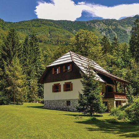 Chalet Primus Near Soca Gorge - Happy Rentals Dış mekan fotoğraf