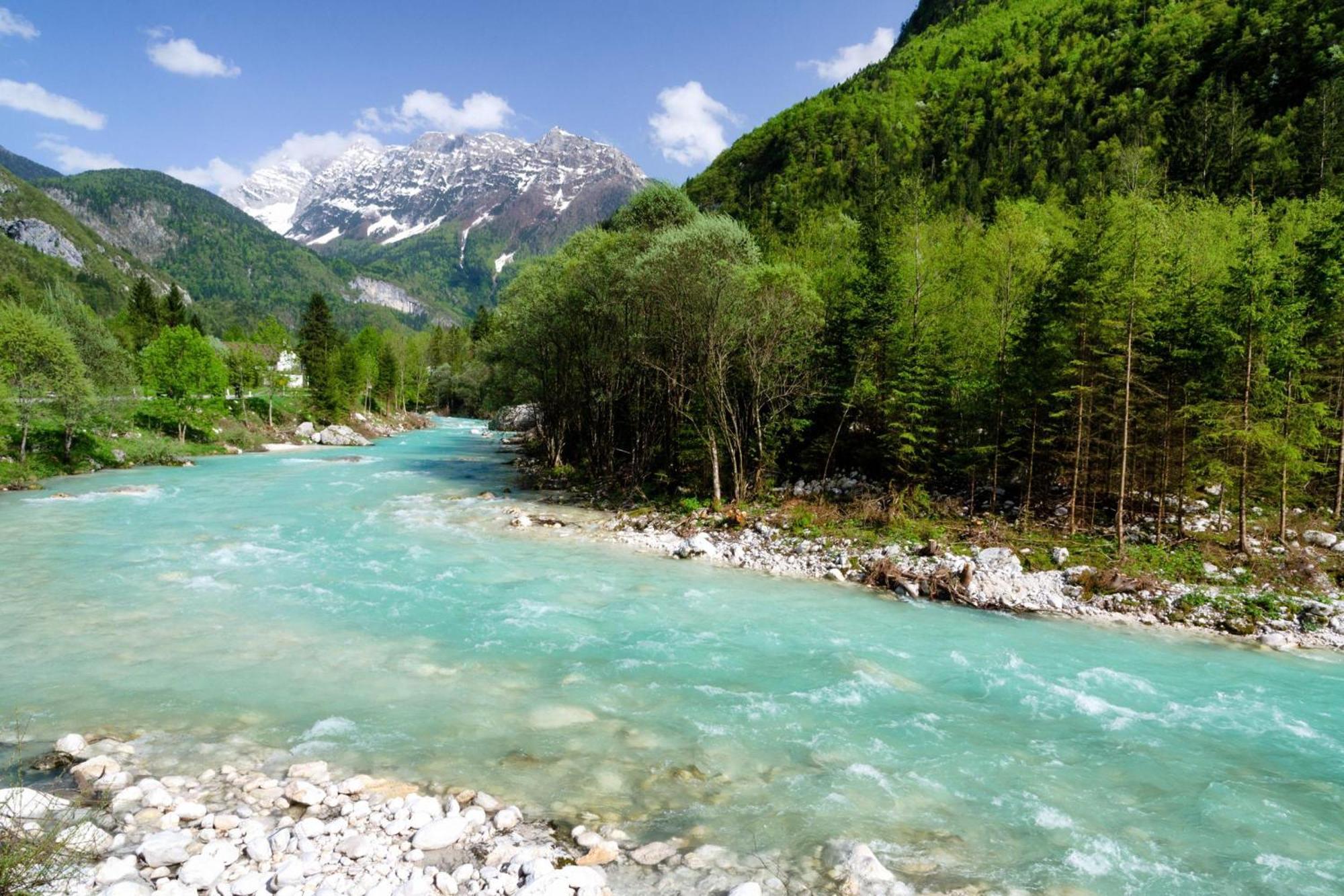 Chalet Primus Near Soca Gorge - Happy Rentals Dış mekan fotoğraf