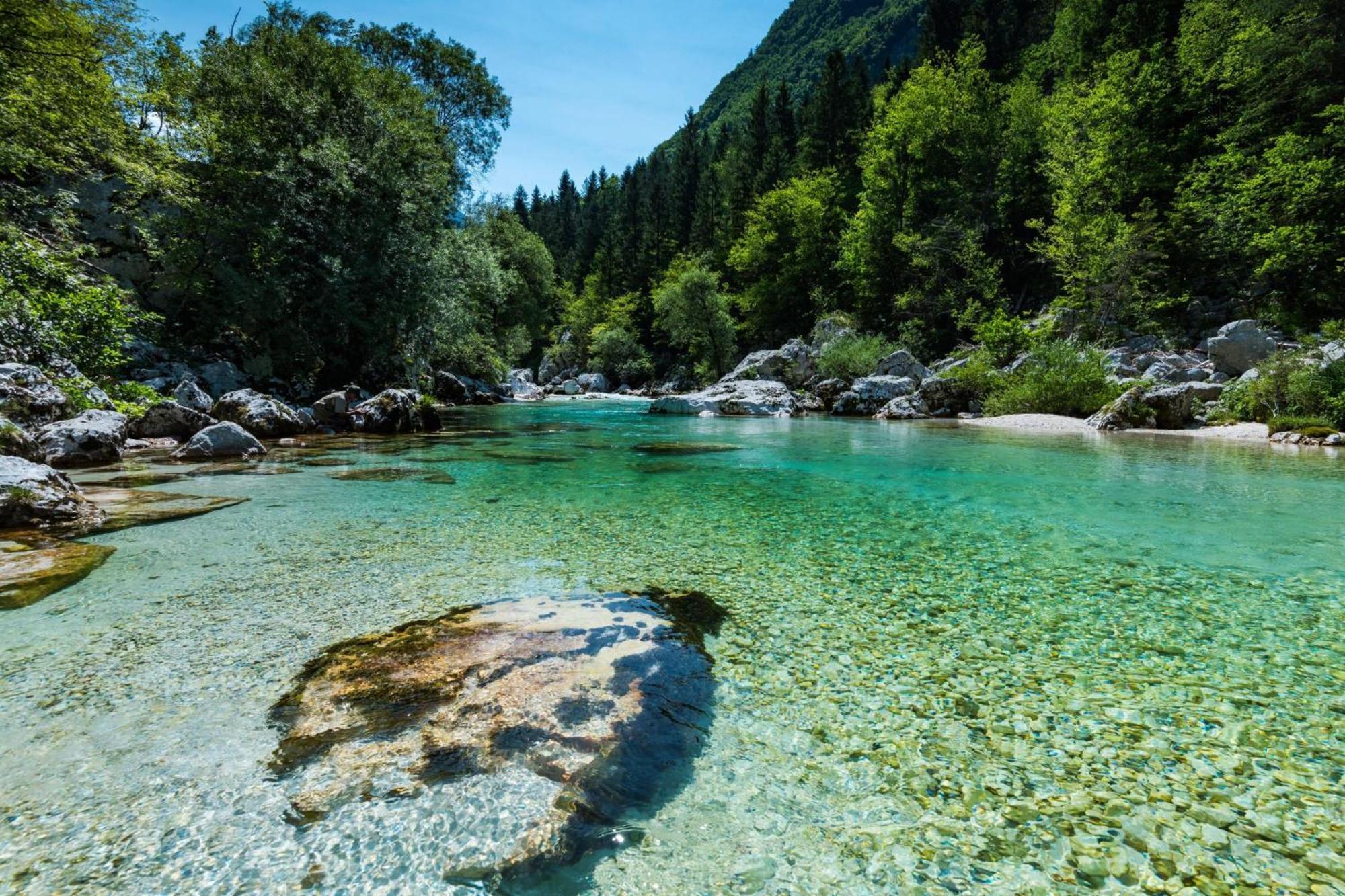 Chalet Primus Near Soca Gorge - Happy Rentals Dış mekan fotoğraf